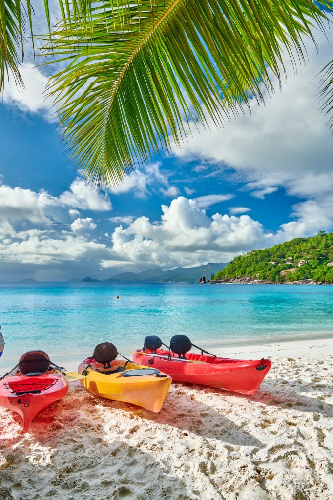 Beach with kayaks and palm tree at Seychelles